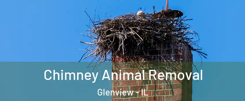 Chimney Animal Removal Glenview - IL