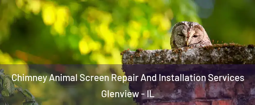  Chimney Animal Screen Repair And Installation Services Glenview - IL