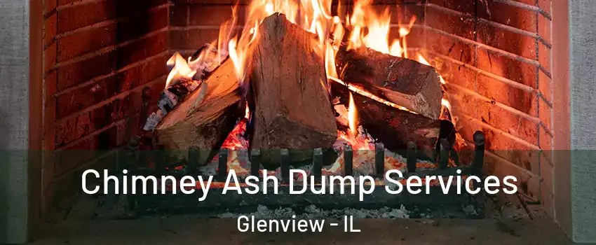  Chimney Ash Dump Services Glenview - IL