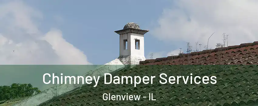  Chimney Damper Services Glenview - IL