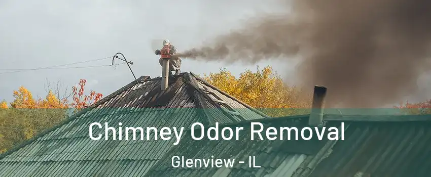  Chimney Odor Removal Glenview - IL