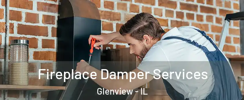  Fireplace Damper Services Glenview - IL