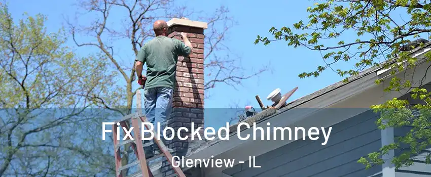  Fix Blocked Chimney Glenview - IL