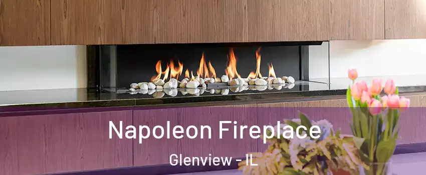  Napoleon Fireplace Glenview - IL