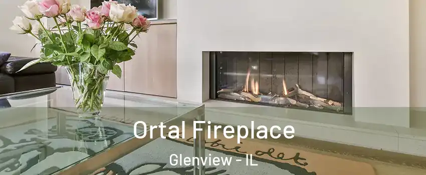 Ortal Fireplace Glenview - IL
